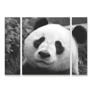 Trademark Fine Art SD Smart Giant Panda 3 Piece Panel Set Art - 1 of 3