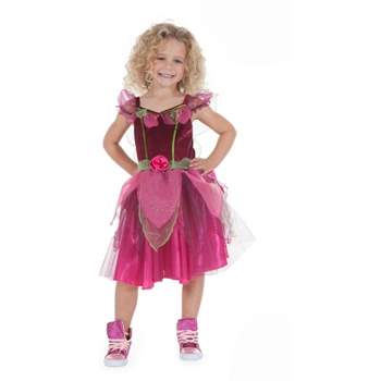 Dassyn Creations Pink Fairy Toddler Costume | 2/4 Years