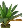 Northlight Two-Tone Bird Nest Fern Artificial Potted Plant - 22" - Green and Brown - 3 of 4