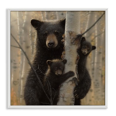 Stupell Industries Forest Black Bear and Cubs, 12" x 12"