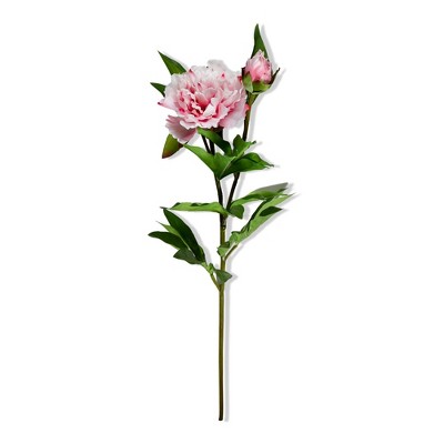 tagltd Peony Spray