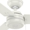 52" Cassius Ceiling Fan - Hunter Fan
 - 4 of 4