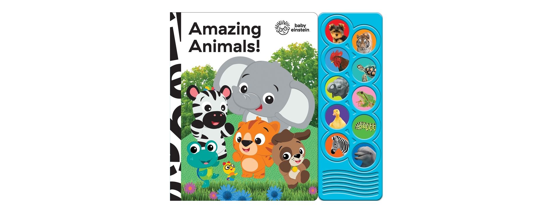 Baby Einstein Amazing Animals 10 Button Sound Book (Board Book)