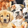 Collections Etc Can I Pet Your Dog Adorable Puppies Drawstring Lounge Pants - 4 of 4