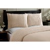 Queen Olivia Comforter 100% Cotton Tufted Chenille Comforter Set Light Beige - Better Trends - 2 of 4