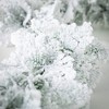 72"L Sullivans Artificial Snowy Cedar Christmas Garland, Green-White, Indoor Christmas Decor - 2 of 4