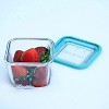 Bormioli Rocco Frigoverre Future 25.25 oz. Square Food Storage Container, Made From Durable Glass, Dishwasher Safe, Made In Italy,Clear/Teal Lid - 4 of 4