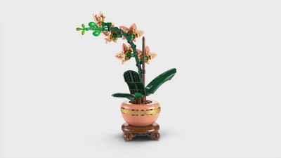 LEGO Botanicals Evergreen Collector's Set for Gifting and Home