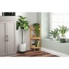 ClosetMaid 3-Tier Bamboo Corner Shelf - ClosetMaid - 3 of 4