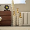 NicBex Modern Floor Vases Set of 3, Glazed Metal Center Vase for Dried Flowers,  Large Standing Vase for Living Room Hallway Corner - 2 of 4