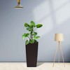 Dexmalle 22-Inch High Faux Rattan Design Flower Pot with Automatic Watering System for Porch - 2 of 4