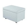 MAYEERTY Multi-Functional Storage Stool, Seating & Storage in One, Living Room Entryway - 4 of 4