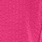 raspberry sorbet