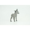 Collectible Wildlife Gifts | Donkey Baby, Hand Painted, Museum Quality, Rubber Animal, Donkey foal, Diorama, Toy,  Gift,  3 Inches.  CH820 BB189 - 4 of 4