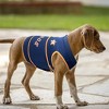 MLB Houston Astros Soothing Solution Pets Vest - 3 of 4