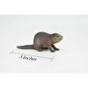 Collectible Wildlife Gifts | Beaver, Museum Quality Rubber Castor Model, Toy,   Gift, Animal, Figure   3"       CWG148 BB28 - 2 of 4