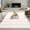 Modern Geometric Living Room Bedroom Area Rugs, Washable Soft Low Pile Floor Carpet with Stripped Lines for Dining Room - 3 of 4