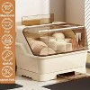 Attop Cream Dustproof Lid Dish Rack - Space-Saving Countertop Organizer, Multi-Compartment Plastic Drainer for Dishes & Utensils, Easy to Clean - 4 of 4