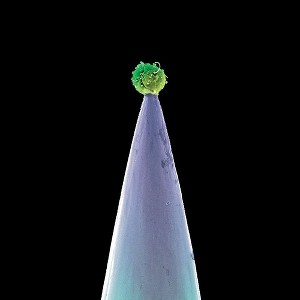 Peter Gabriel - New Blood (CD) - 1 of 1