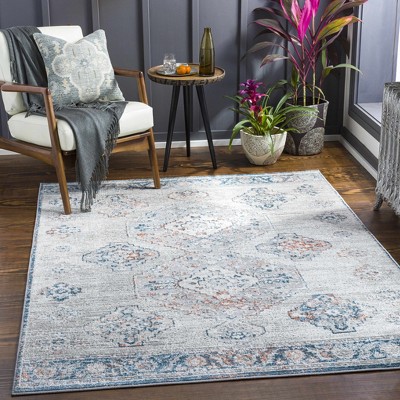 Hauteloom Rectangle Area Rug   Light Gray