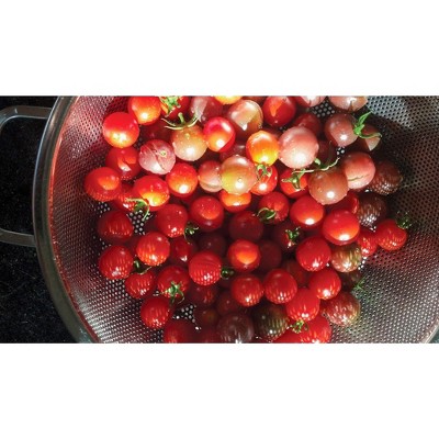 Stainless Steel 5-Quart Precision Pierced Colander