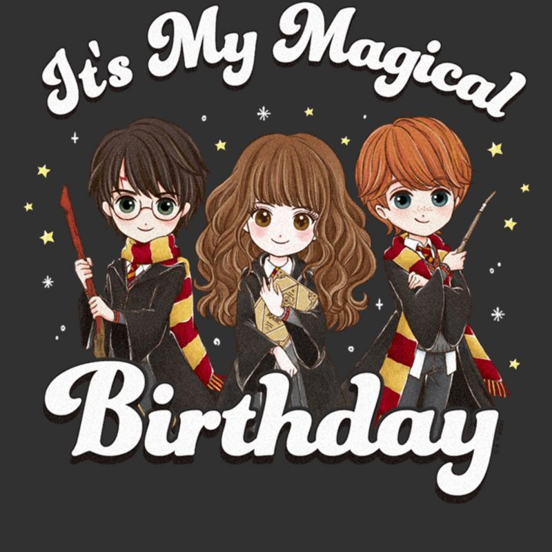 Men's Harry Potter It’s My Magical Birthday Cute Characters T-Shirt, 2 of 6