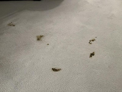 Guest review image 1 of 3, zoom in