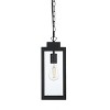 Elegant Lighting Hilton 6 Inch Outdoor Pendant in Black - 2 of 4