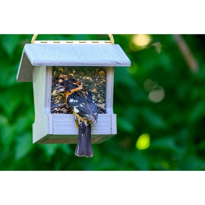 Small Driftwood Gray Hanging Plastic Hopper Bird Feeder