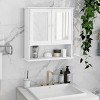 MAYEERTY Bathroom Wall Cabinet Double Mirror Doors Shelves - 3 of 4