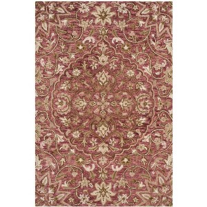 Bella BEL673 Hand Tufted Area Rug  - Safavieh - 1 of 4