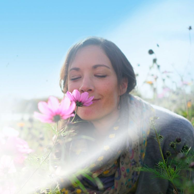 Air Wick Scented Oil Air Freshener - Warmer - 2pk, 2 of 7