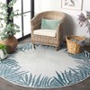 Beach House BHS262 UV & Stain Resistant Non-Shedding Power Loomed Indoor/Outdoor Rugs - Safavieh - 3 of 4