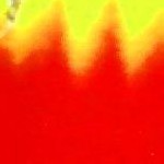 upside down palm royal blue