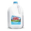 McArthur Dairy Fat Free Skim Milk - 1gal - 2 of 3