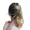 Unique Bargains Women's Round Lines Ponytail Buckle Hair Clip 1 Pc - 3 of 4