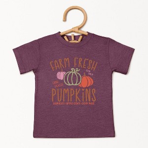 The Juniper Shop Colorful Farm Fresh Pumpkins Youth Short Sleeve Tee - 1 of 2