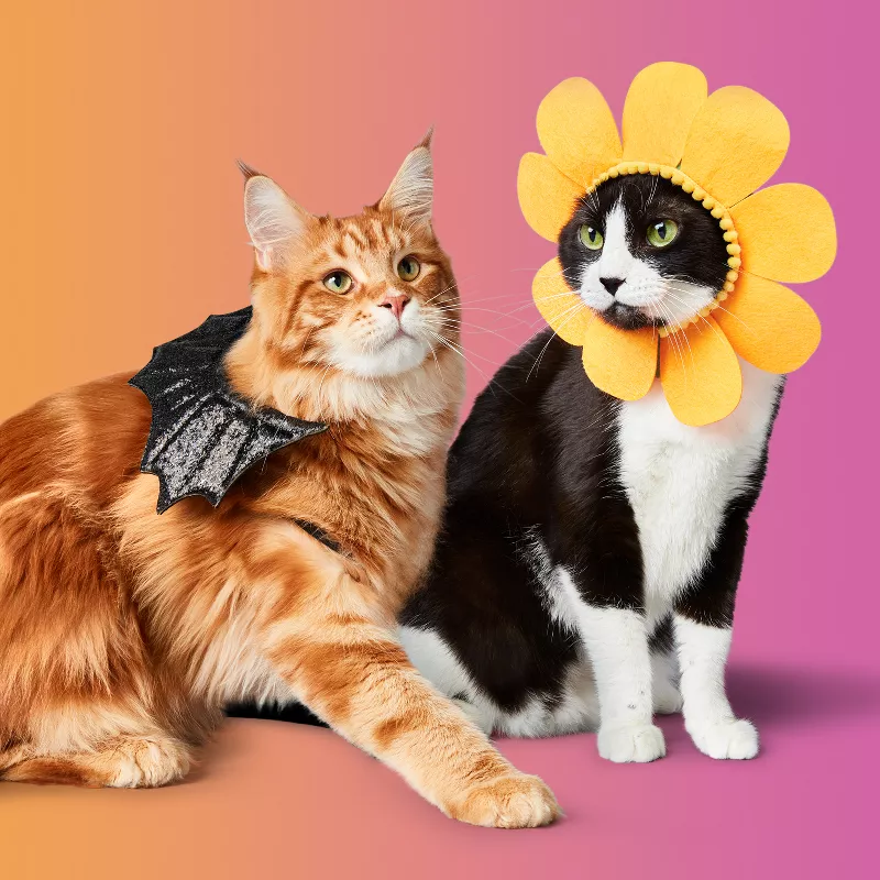 Pet Costume Center - Pet costumes for any occasion