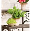 Plow & Hearth Set of 3 Nesting Metal Plant Stands with Scrollwork Design - 3 of 4