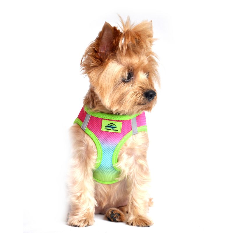 Doggie Design American River Choke Free Dog Harness Ombre Collection-Rainbow, 4 of 5