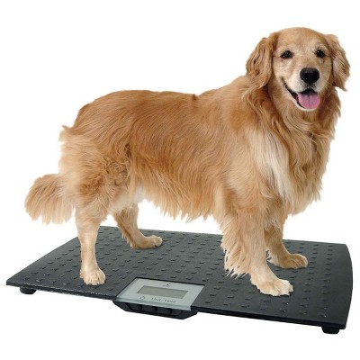 Precision Digital Pet Scale