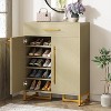 Tribesigns Shoe Cabinet with Doors, Modern Shoe Rack with Drawer - 2 of 4