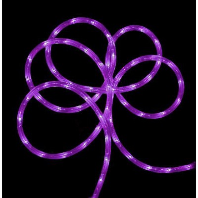 Northlight 18' LED Outdoor Christmas Rope Lights - Purple