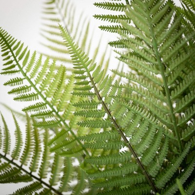 22" Green Plastic Potted Fern for Tabletop Decor