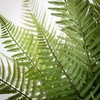 Sullivans Artificial 22" Lifelike Potted Fern, Green - 2 of 4