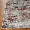 Distressed Medallion Machine Washable Indoor Area Rug or Runner by Blue Nile Mills - 3 of 4