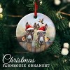 Donkey Christmas Ceramic Ornaments - Holly Peeking Donkeys Farm Animals Ornament for Xmas Tree Decor - Funny Farmhouse Gift for Boys, Girls - 2 of 4