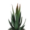Unique Bargains Artificial Plants Mini Aloe-Vera in Pulp Plastic 2.76"x2.76"x5.51" 1 Pc - 4 of 4