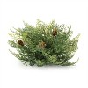 Cedar Pinecone Half Orb (Set of 2) - 3 of 3