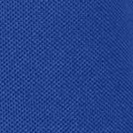 tour blue